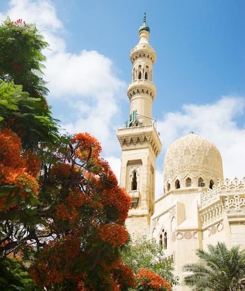 Mosque in Alexandria