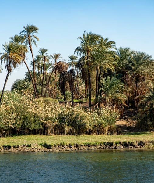 Nile Valley